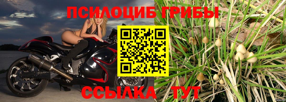 Углич  Псилоцибиновые грибы ЛСД  Вход с VPN 